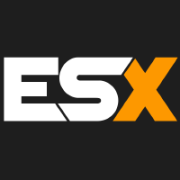 FiveM ESX